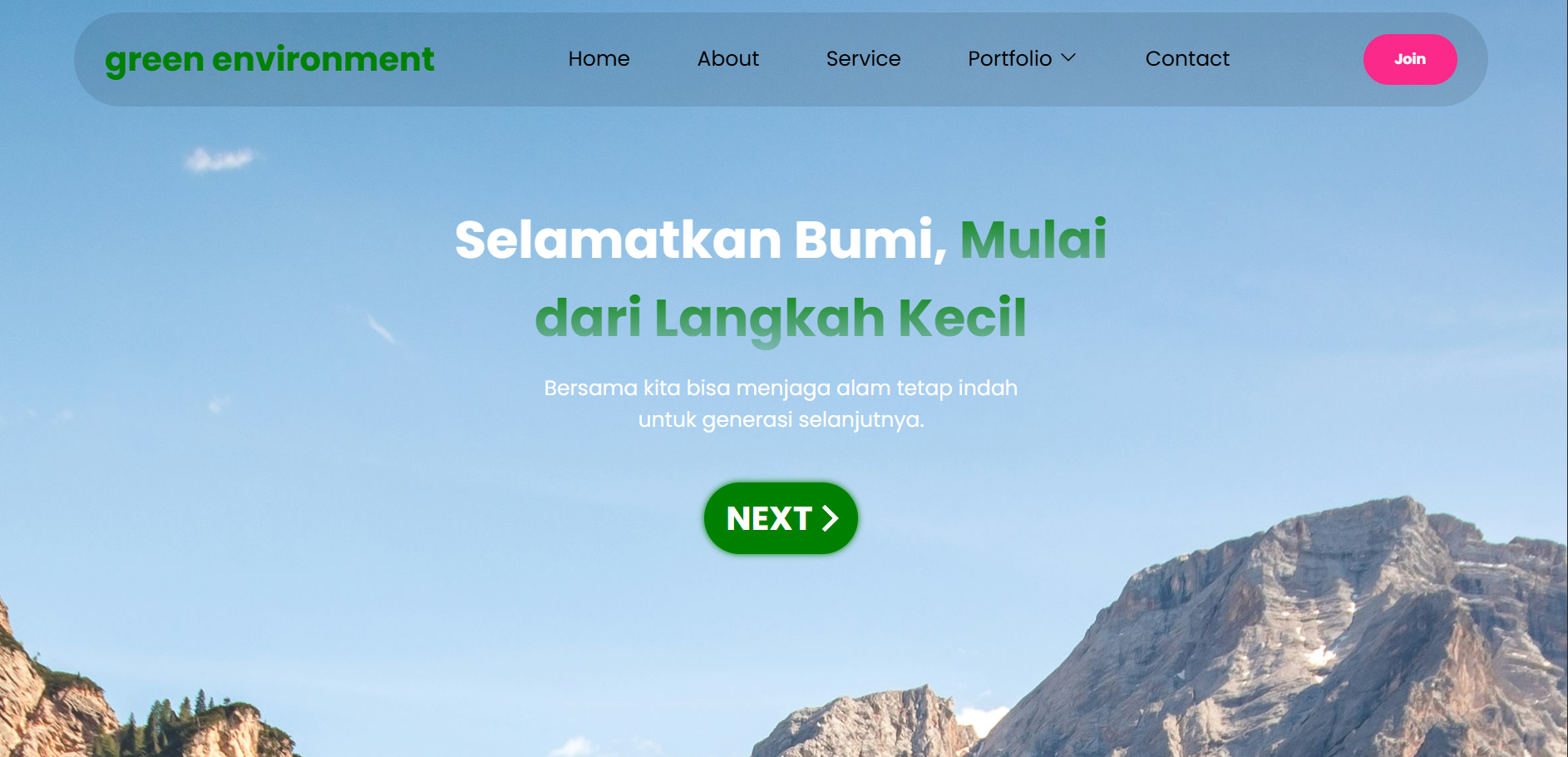 Website Design 1